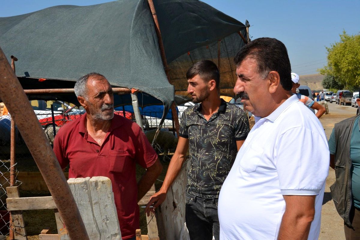 TUDKİYEB Başkanı Çelik: "Küçükbaş kurbanın karkas ağırlığı en az 22 kg olmalı"
