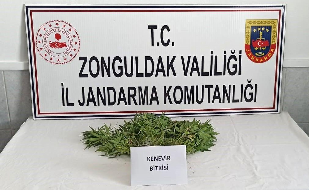 Zonguldak\'ta uyuşturucu operasyonu: 1 gözaltı