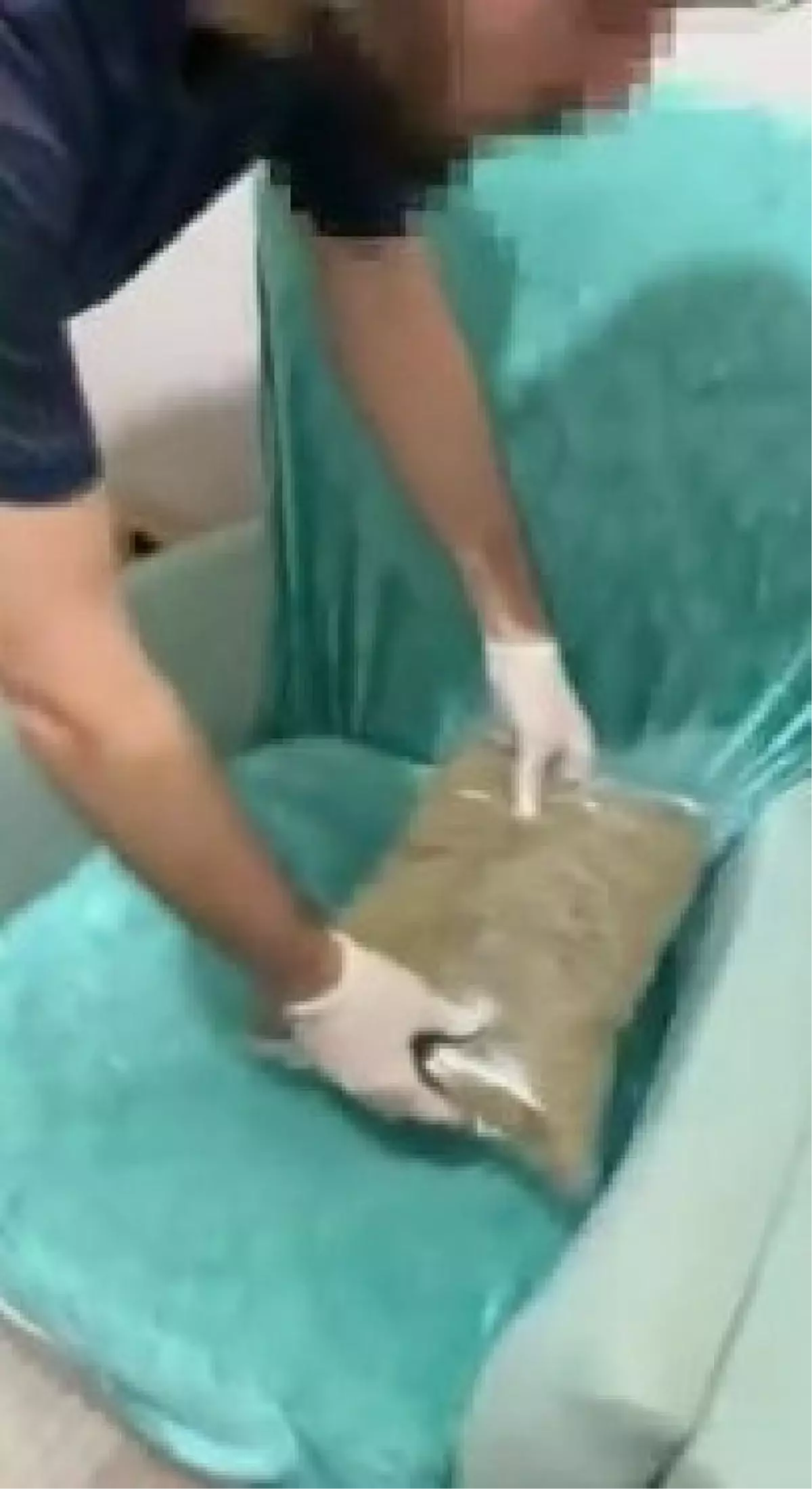 Son dakika haberi: GAZİOSMANPAŞA\'DA UYUŞTURUCU OPERASYONU