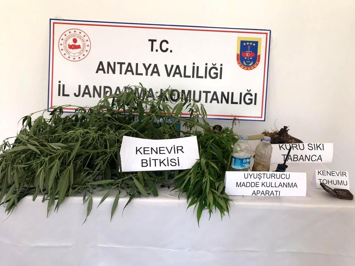 Gazipaşa\'da seraya uyuşturucu operasyonu