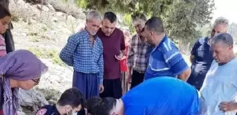 İnternet çekmediği için çıktığı ağaçtan düşüp ağır yaralandı