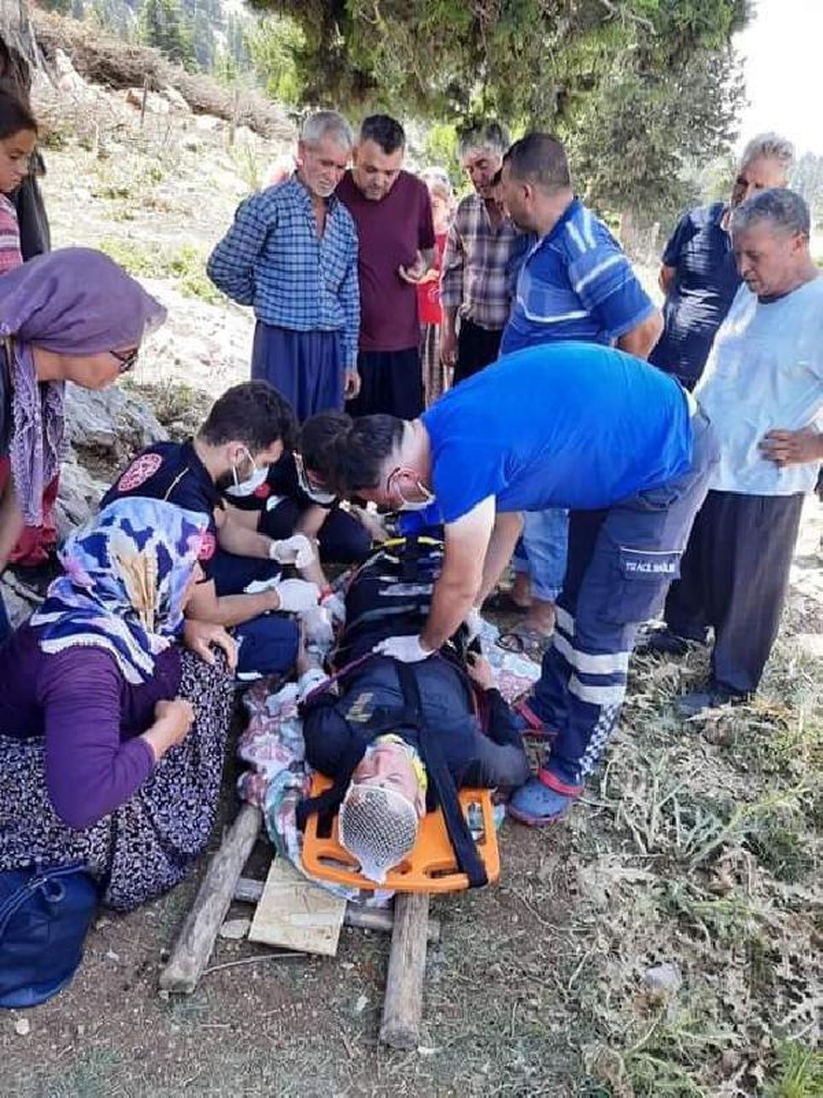İnternet çekmediği için çıktığı ağaçtan düşüp ağır yaralandı