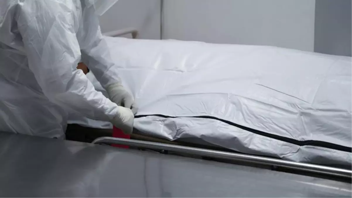 Kanada\'da aşırı sıcaktan ölenlerin sayısı, bilinenden fazla çıktı! Ölümcül sıcaklarda 808 kişi can vermiş