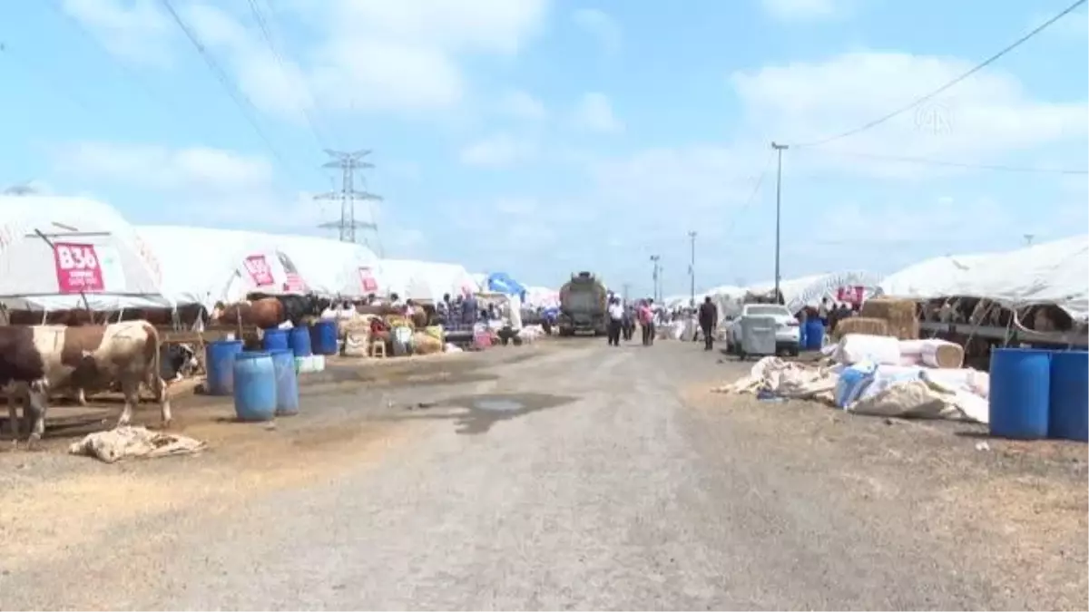 Kurban pazarlarındaki hareketlilik devam ediyor