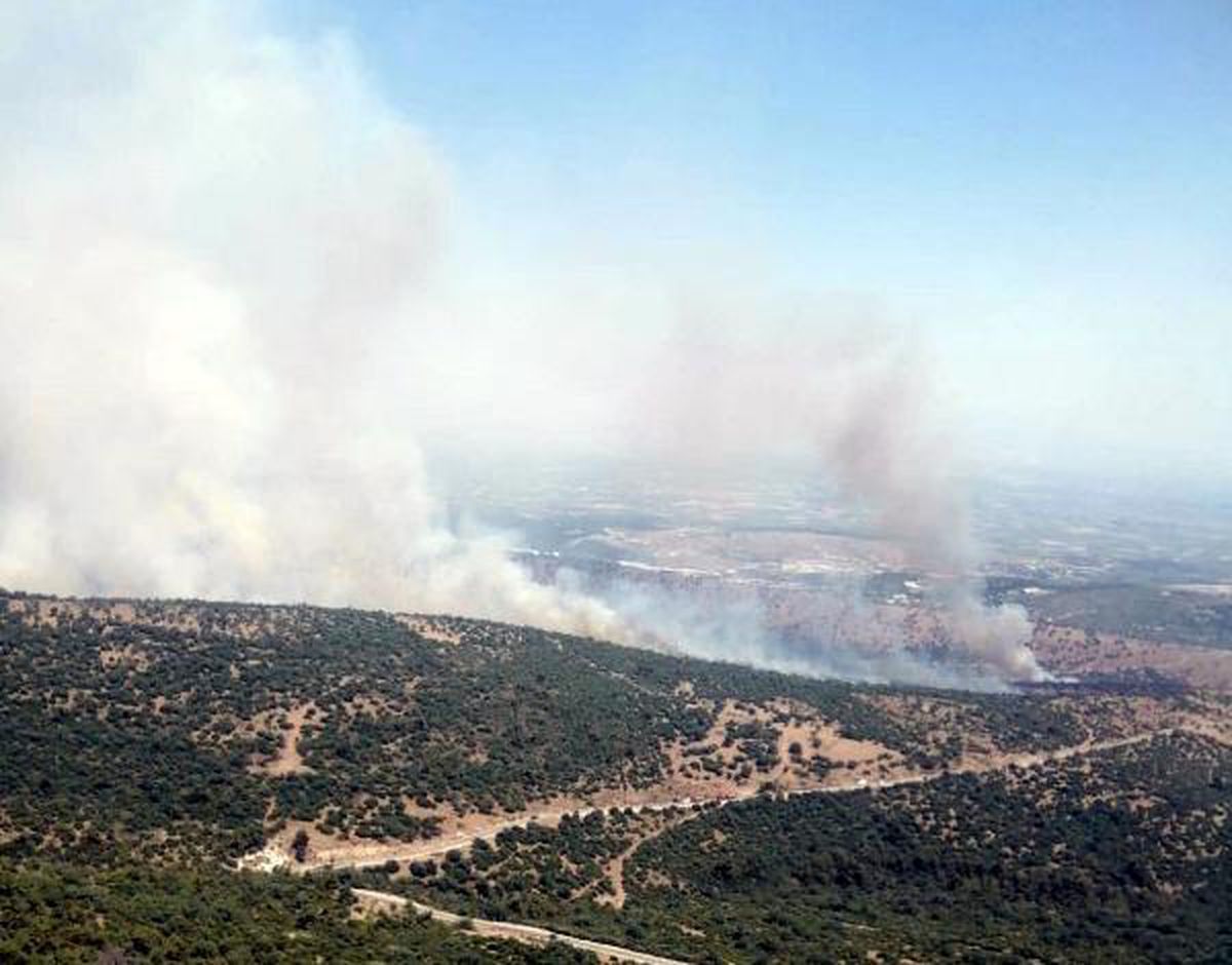Son dakika... Manisa\'da makilik yangını (1)