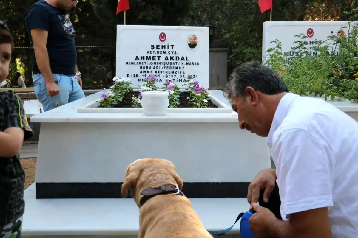 Şehidin emaneti ile şehide ziyaret