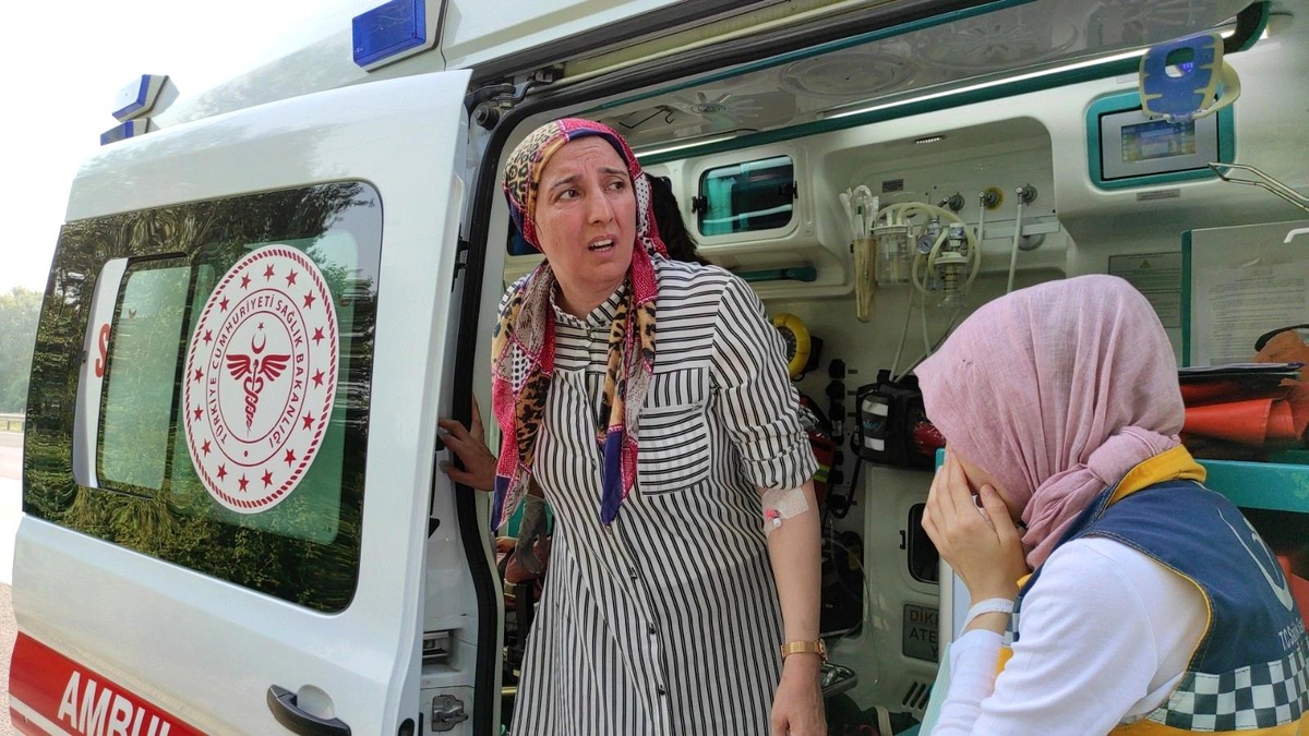 TEM\'de kontrolden çıkan otomobil ağaçlık alana uçtu: 3 yaralı