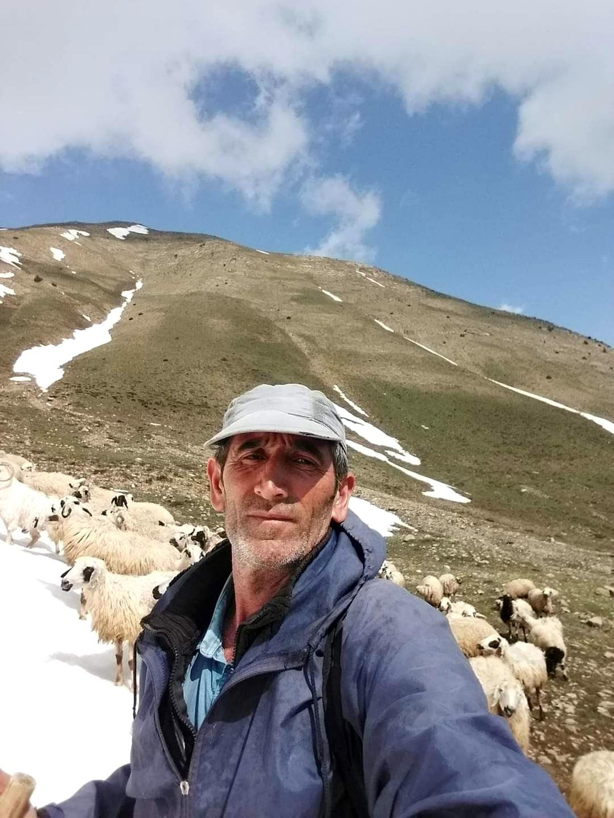 Tunceli\'de ayı saldırısına uğrayan vatandaş yaralandı
