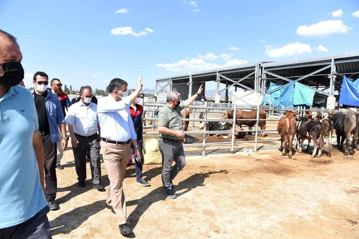 Vali Çiftçi ve Başkan Aşgın\'dan hayvan pazarında inceleme
