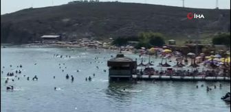 Avşa Adası'nda yoğunluk