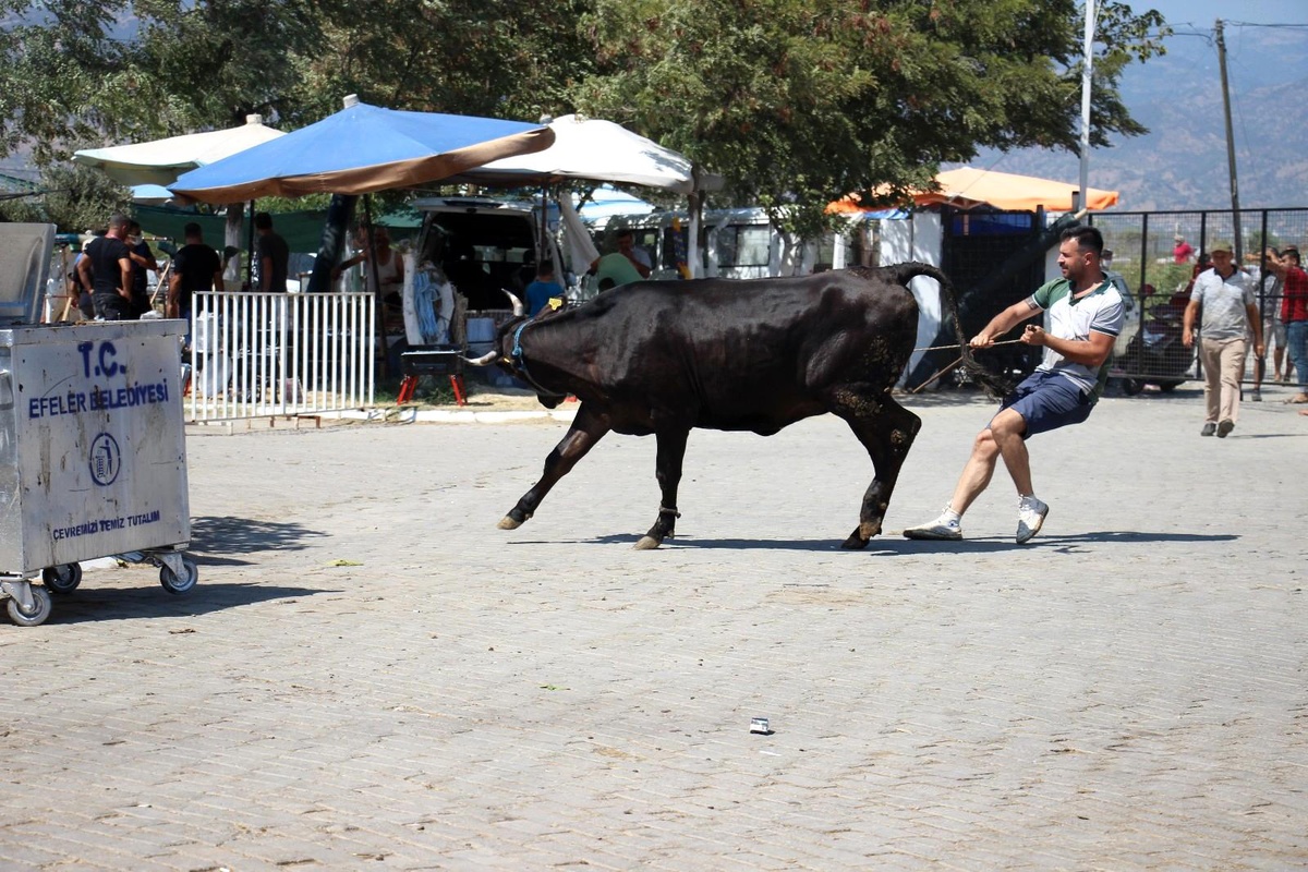 Aydın\'daki kurban pazarı eski günleri arattı