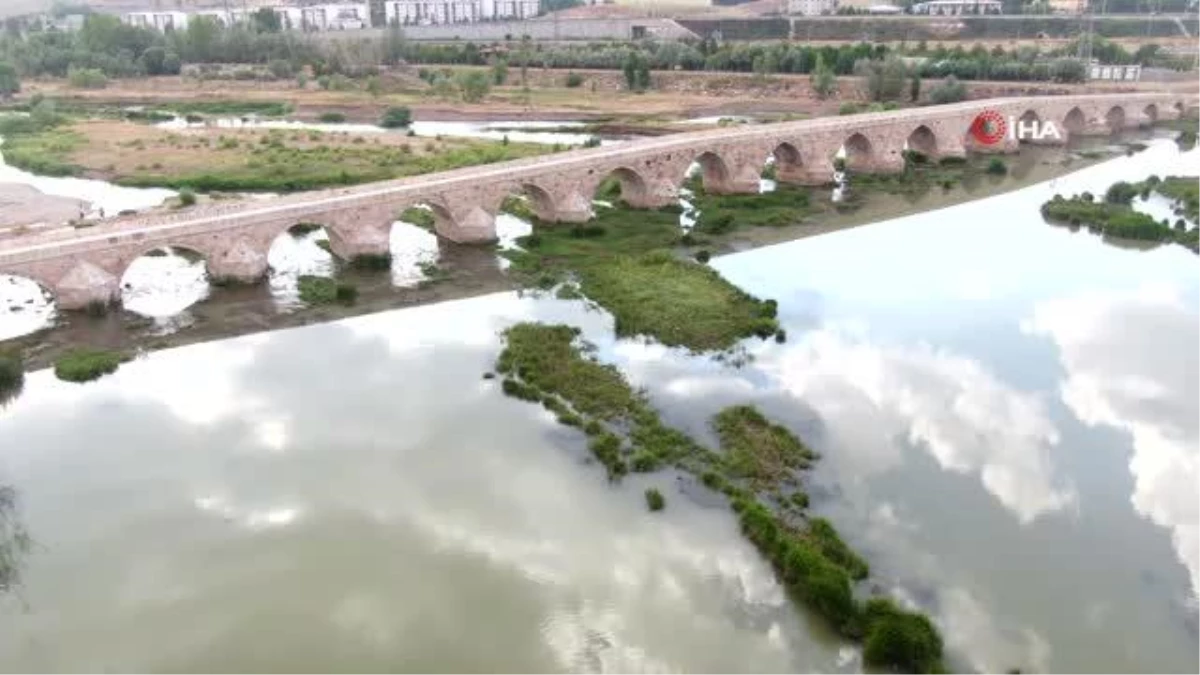 Son dakika haberleri | Balıkları zehir değil kavuran sıcaklar öldürdü