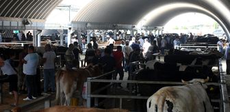 Bayram öncesi kurbanlıklara vatandaşlar yoğun ilgi gösteriyor