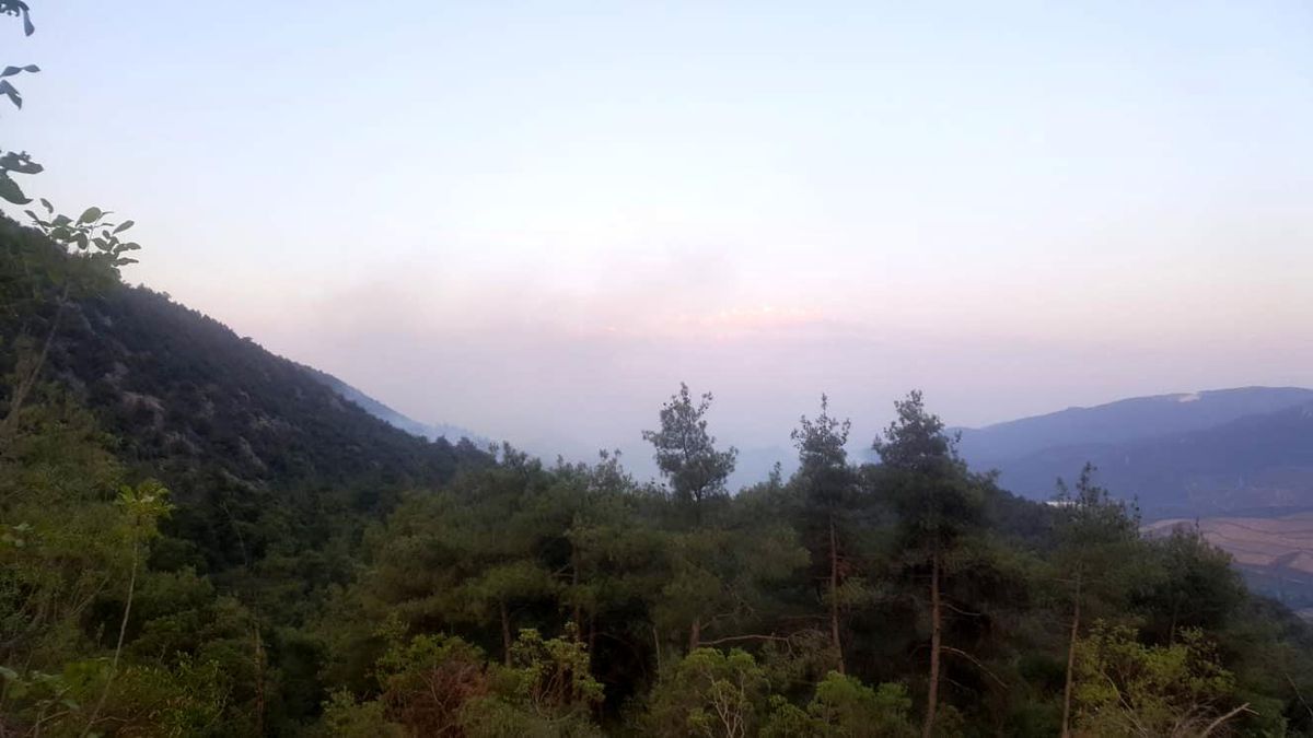 Bilecik\'te kontrol altına alınan orman yangını yeniden alevlendi