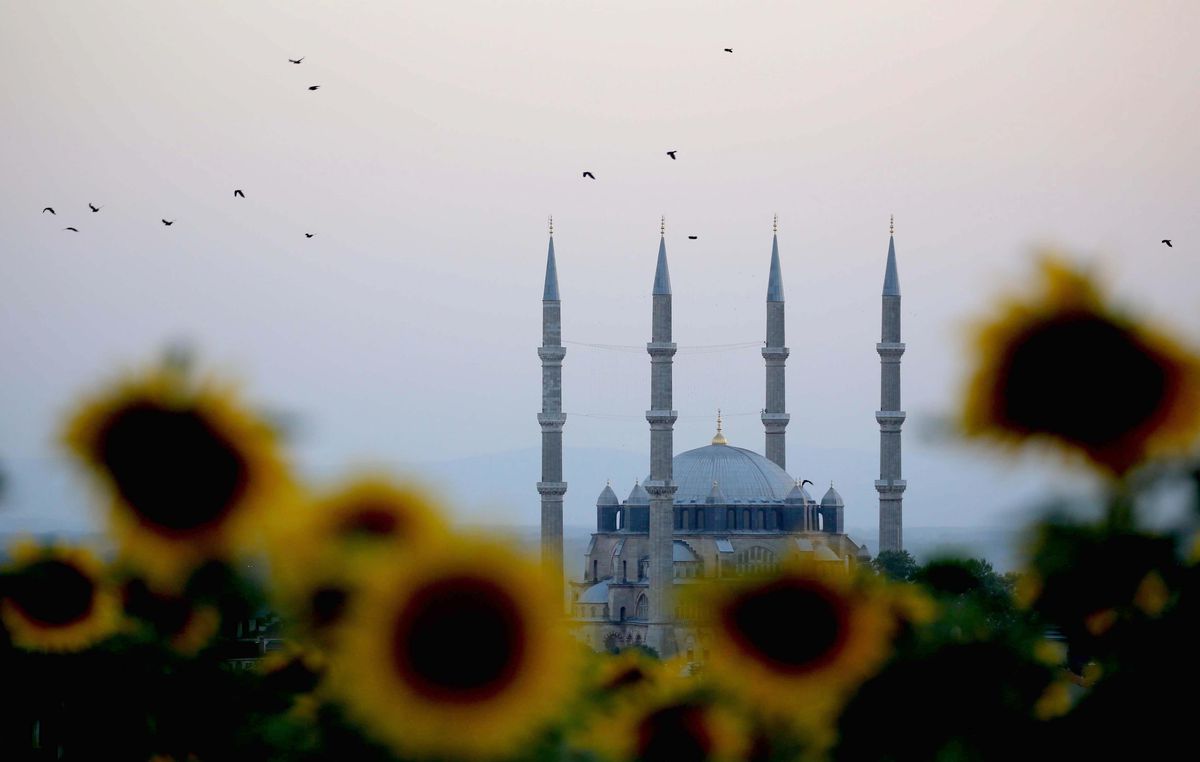 Edirne\'de açan ayçiçeklerinin oluşturduğu sarı şölen kenti dev bir yağlı boya tablosuna dönüştürdü