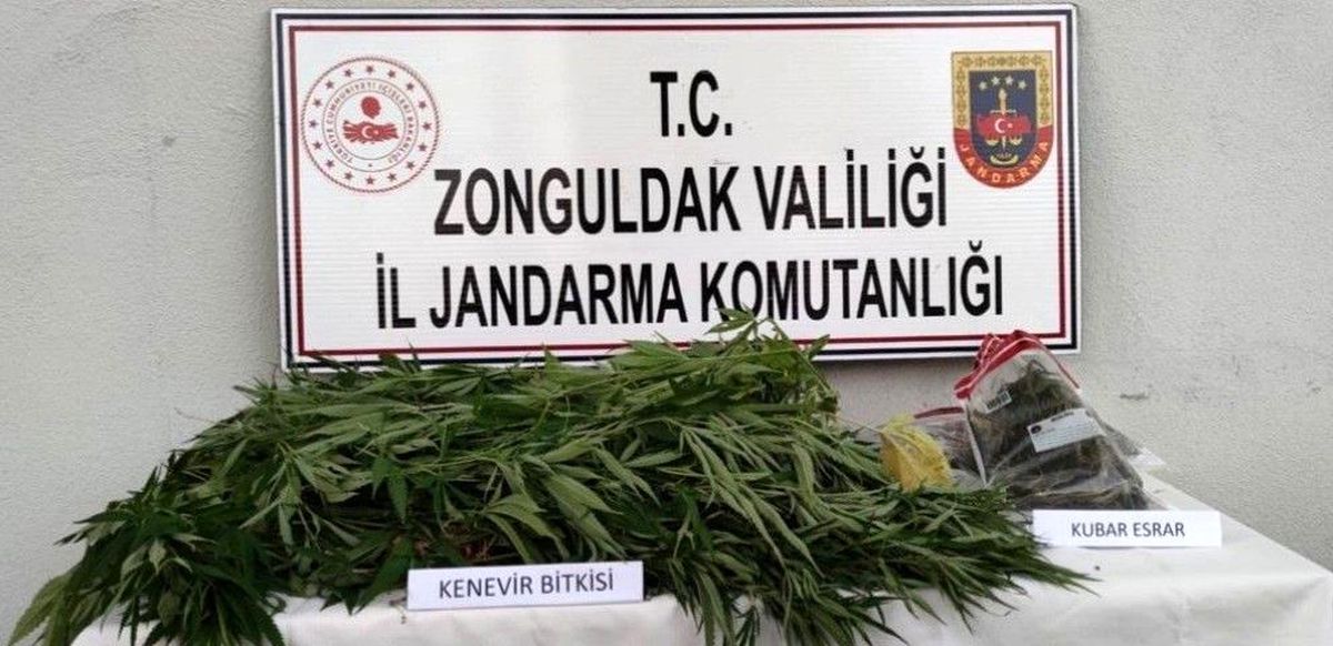 Evde ve bahçede uyuşturucu ele geçirildi