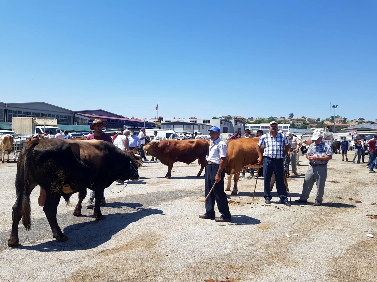 Hayvan pazarında sıkı pazarlıklar sürüyor