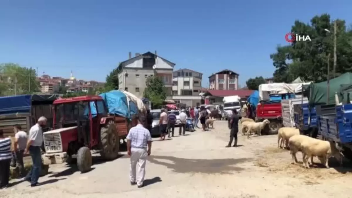 Hayvan pazarını pandemi vurdu, esnafın yüzü gülmedi