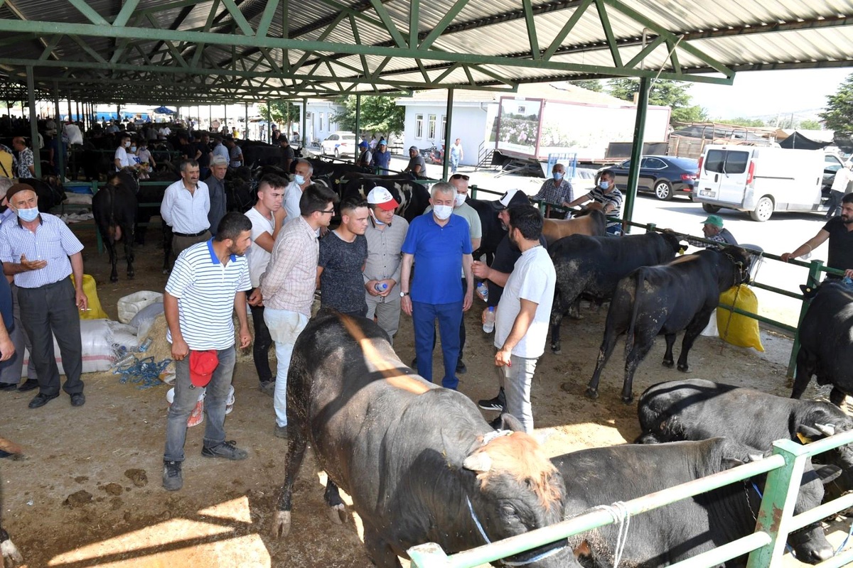 Isparta\'da engelli ve yaşlıların kurban kesim işlemini belediye yapacak
