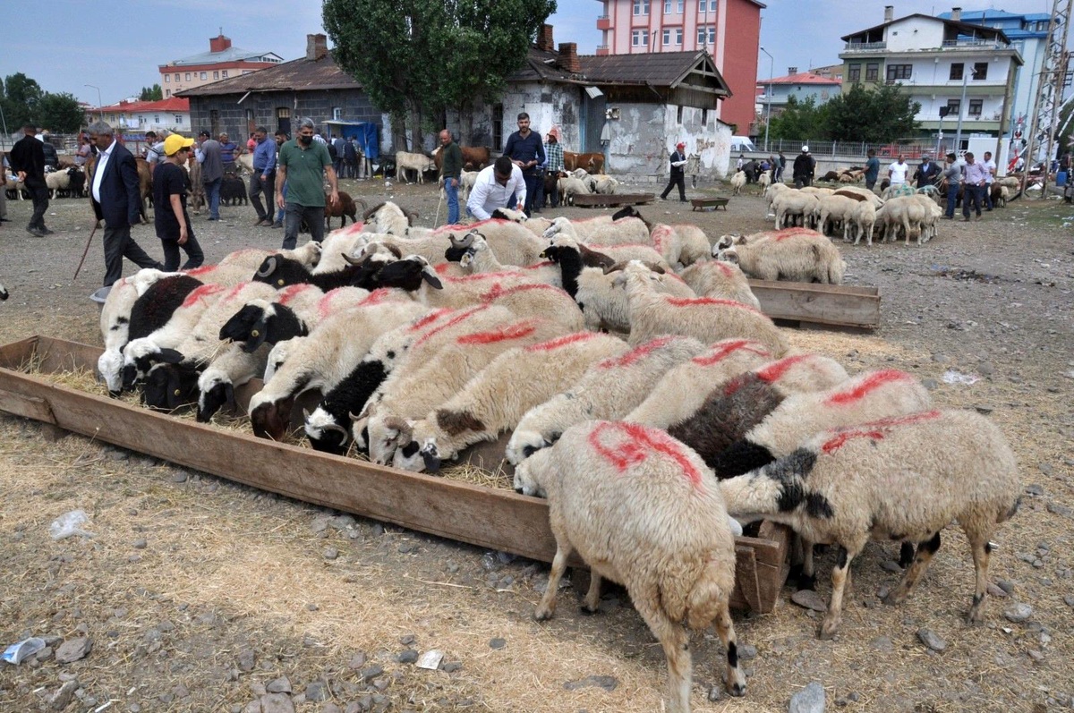 Kars\'ta Kurban Pazarı\'nda son gün yoğunluğu