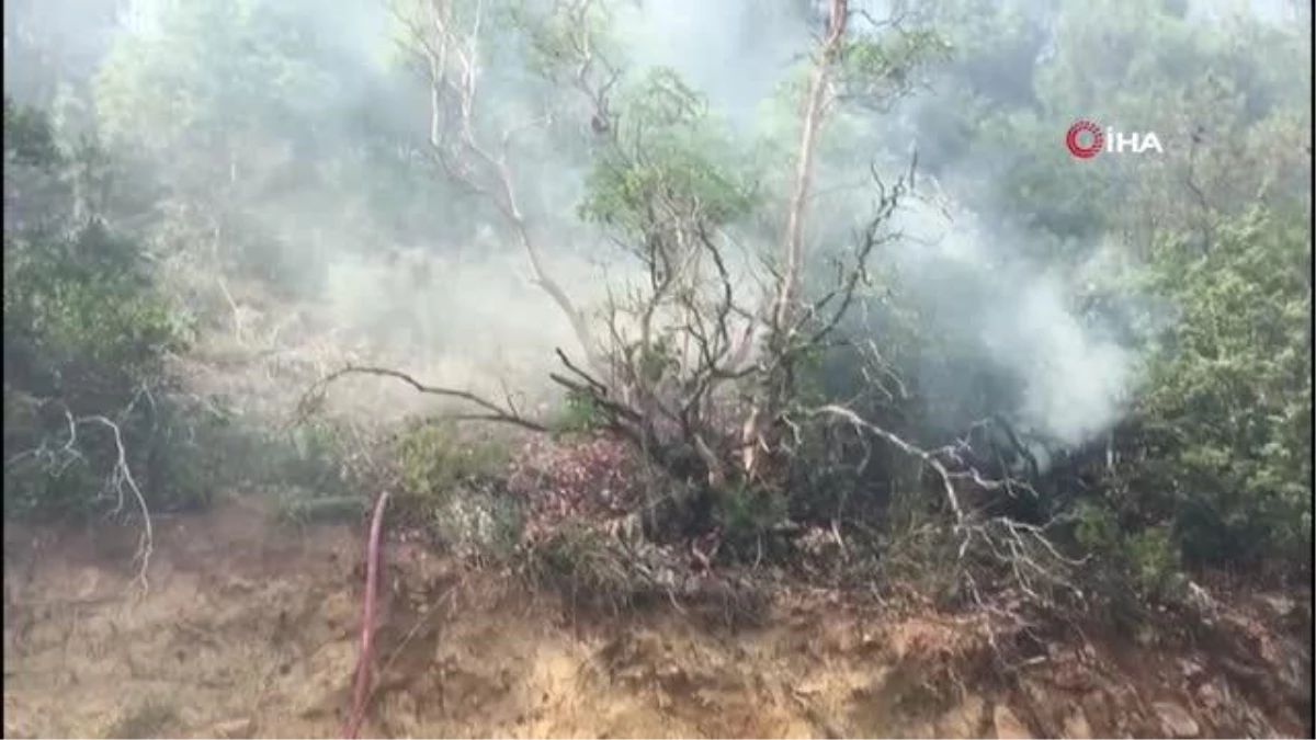 Osmaneli\'de orman yangını: 10 hektar ormanlık alan yandı