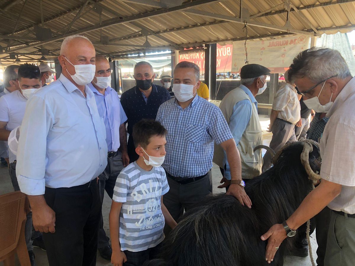 Seydişehir\'de canlı hayvan pazarı açıldı