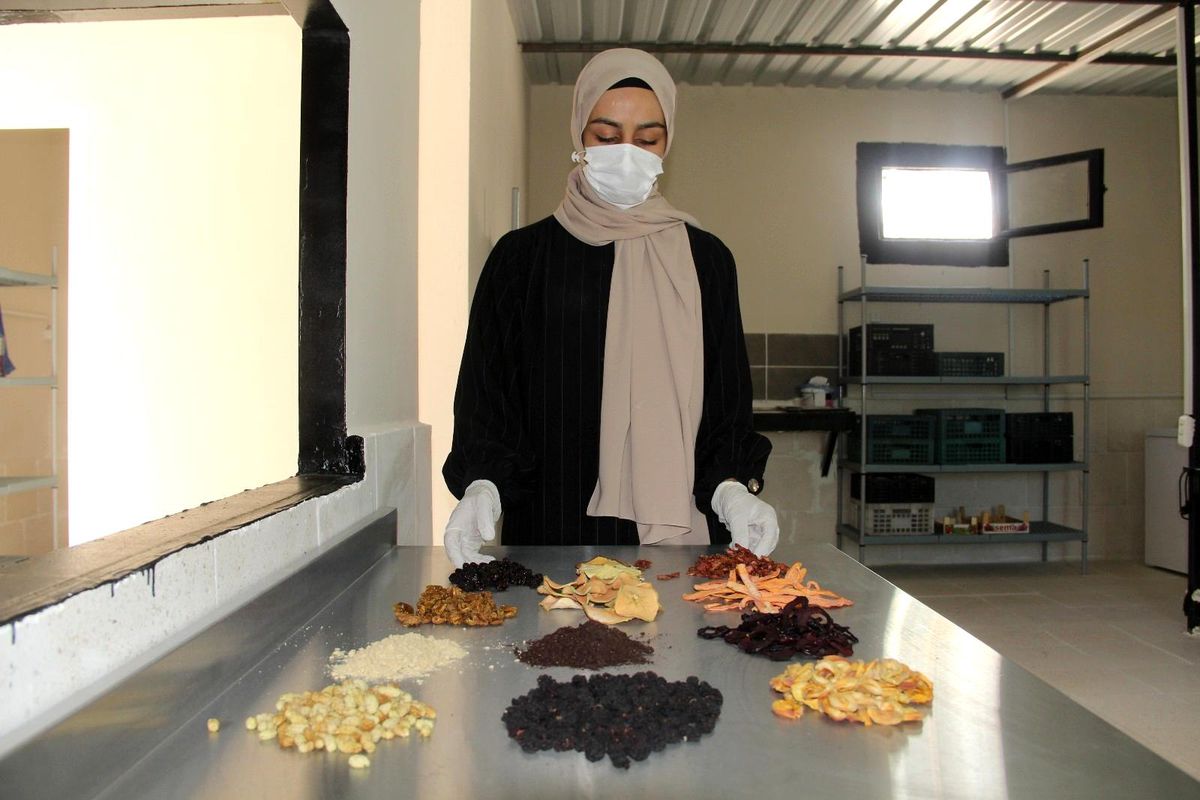 Tunceli\'den çıkan kurutmalıklar 2 ülke ve 14 ilin sofralarını süslüyor
