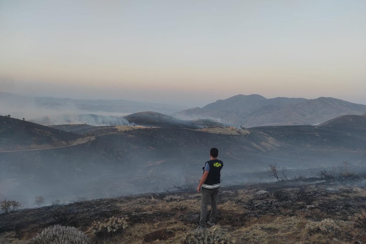 Elazığ\'da çıkan örtü yangını kontrol altına alındı
