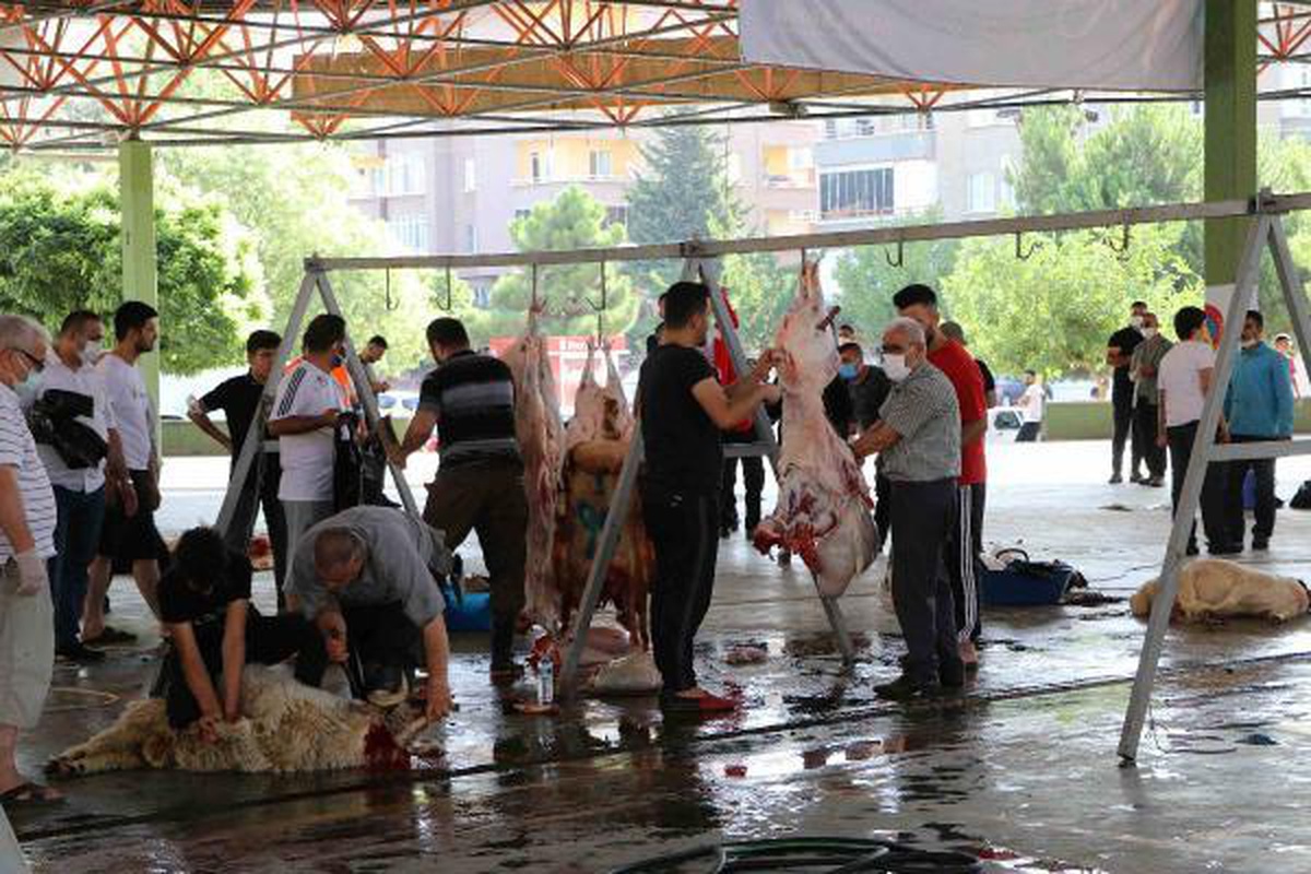 GAZİANTEP\'TE YETİŞKİNLER KURBAN KESTİ, ÇOCUKLAR İZLEDİ