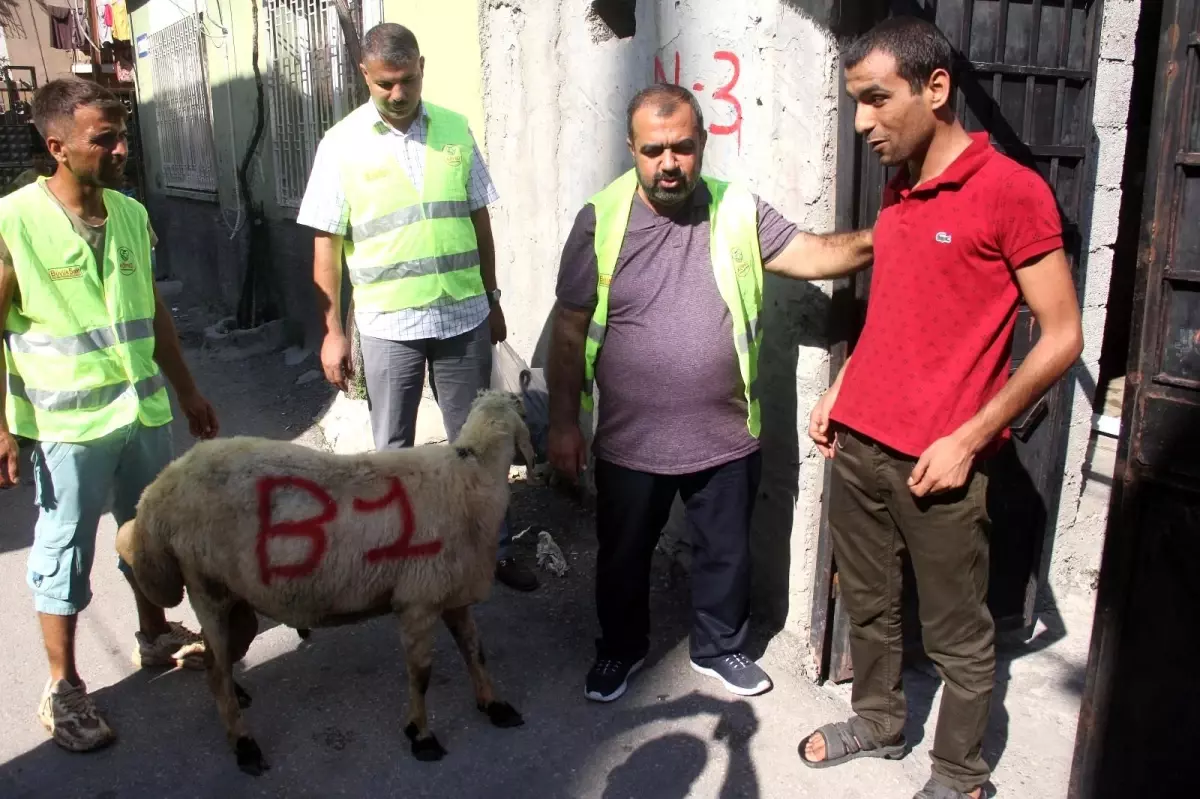 Öksüz ve yetimlere kurbanlık