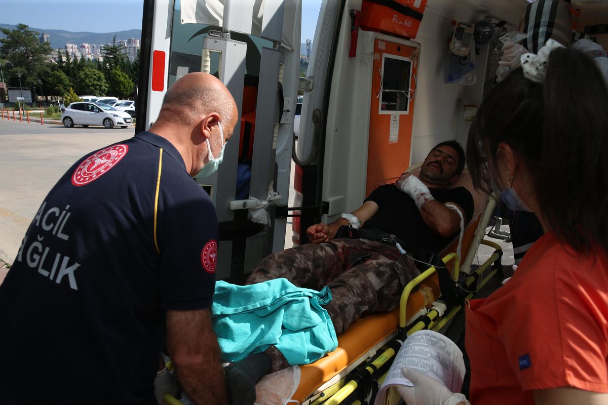 Samsun ve çevre illerde "acemi kasaplar" hastanelik oldu