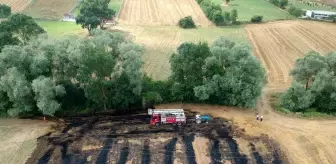 Son dakika haber! Sinop'ta saman tarlasında yangın