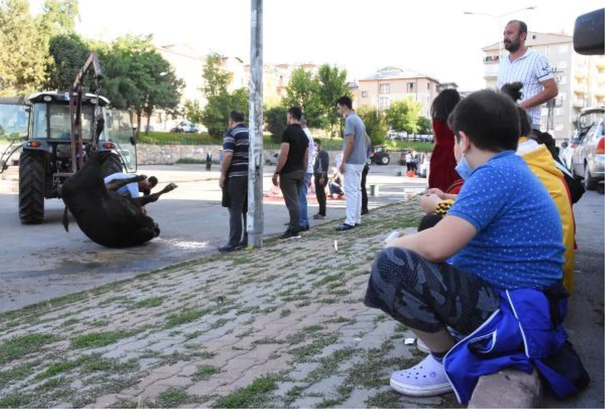 Sivas\'ta acemi kasaplar, kendilerini yaraladı