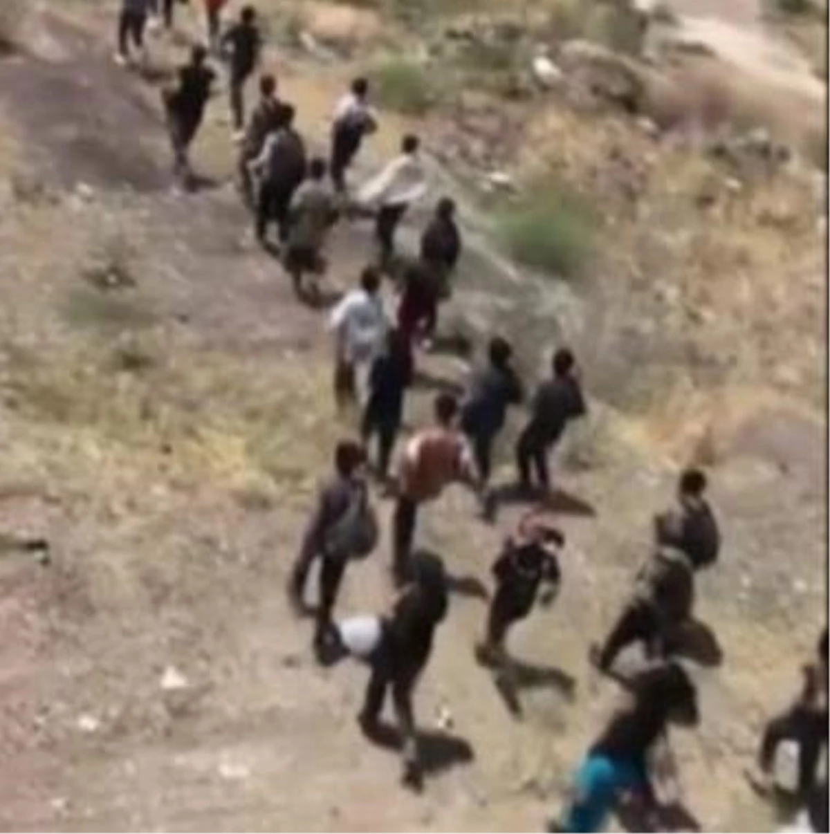 Van\'da arazide yürüyerek ilerleyen 113 düzensiz göçmen yakalandı