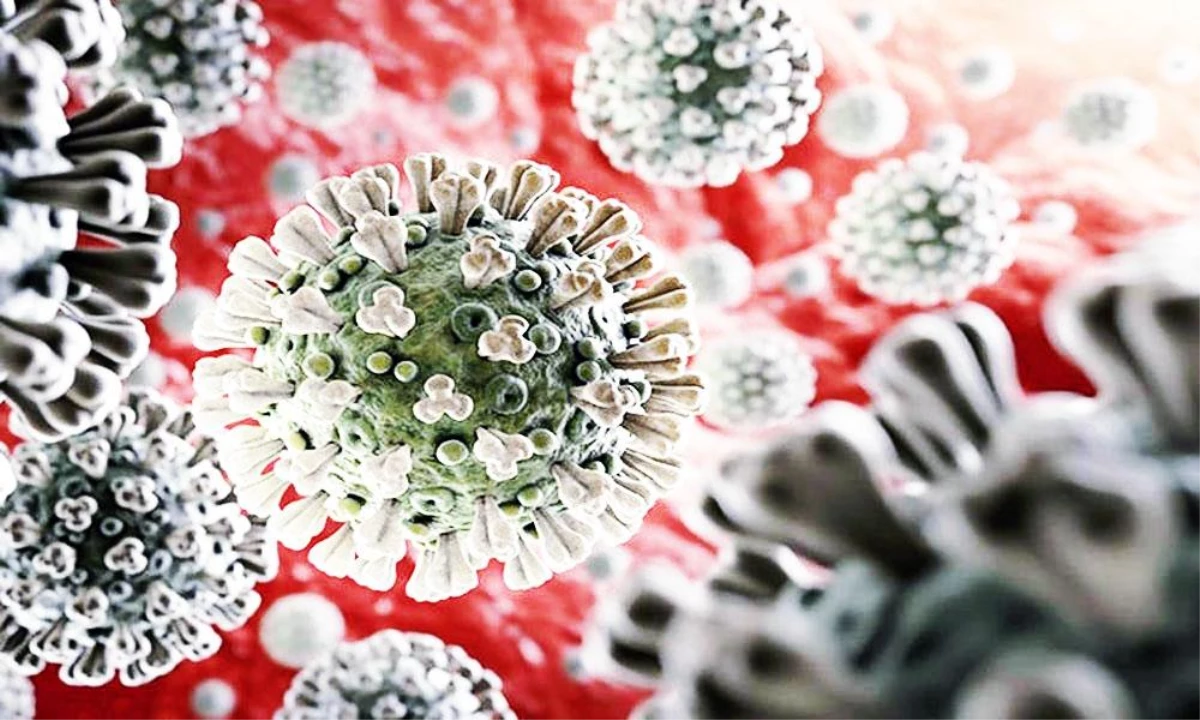 ABD\'de Monkeypox virüsü alarmı: 200\'den fazla temaslı izleniyor