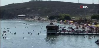 Avşa Adası nüfusunun 15 katını ağırlıyor