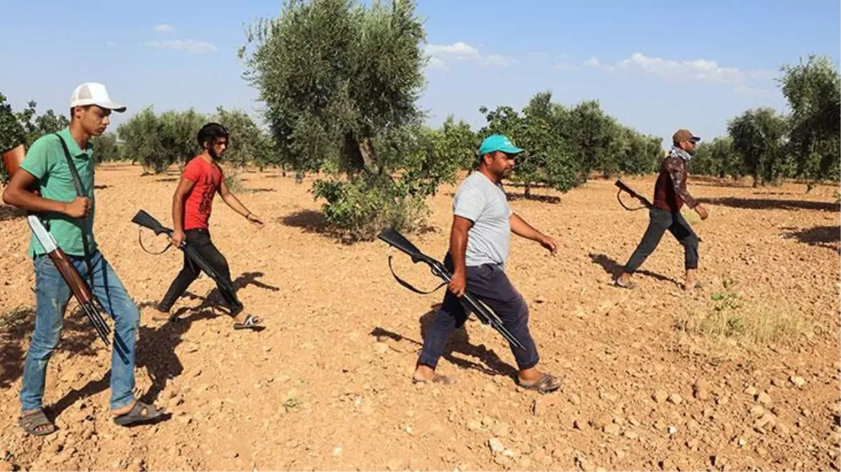 Antep fıstığı için hasat zamanı geldi çattı! Bekçilerin, 24 saatlik hırsız nöbeti başladı