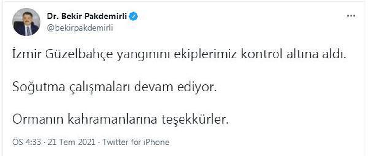 Son dakika: İzmir\'de orman yangını (3)