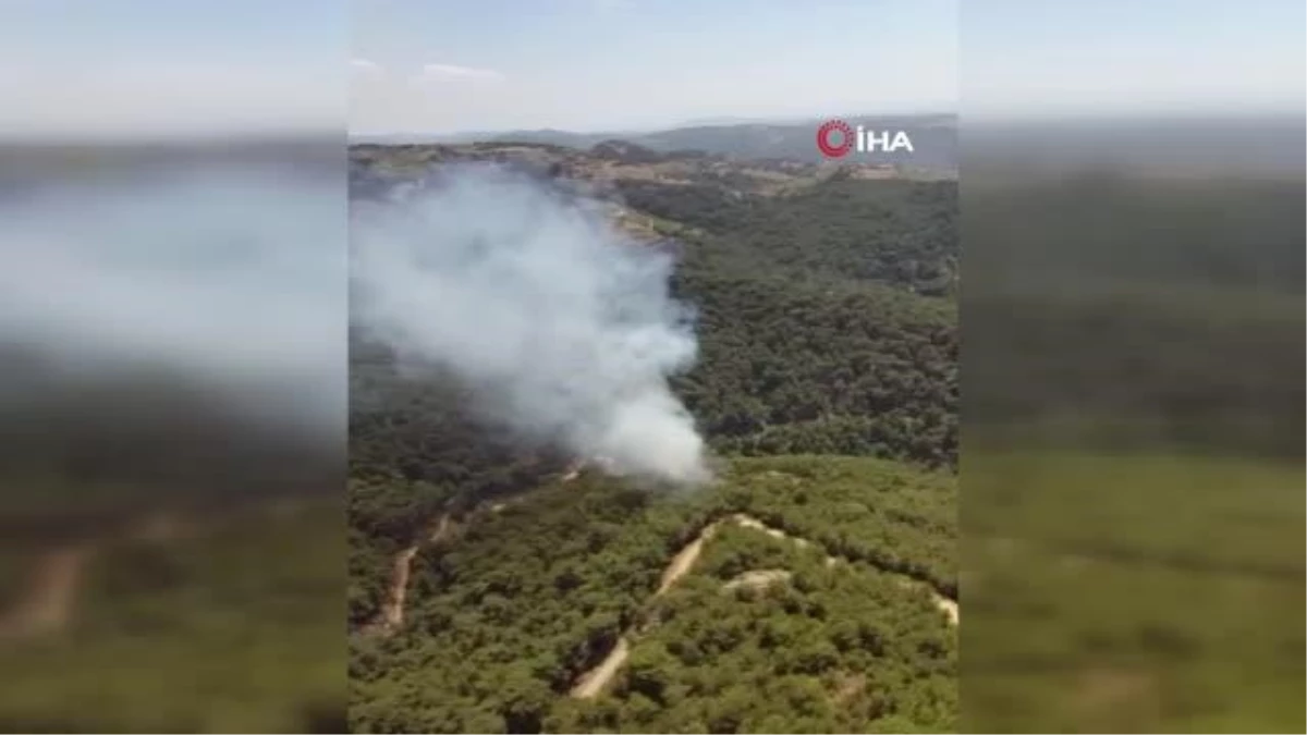 Son dakika haber... İzmir\'de ormanlık alanda yangın