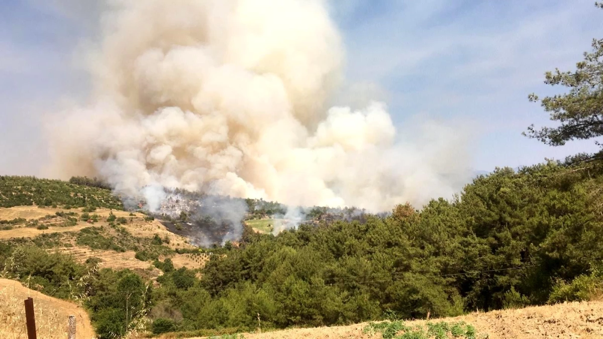 Ciğerlerimiz yanıyor! Osmaniye\'de orman yangını çıktı, yangına ekiplerin müdahalesi sürüyor
