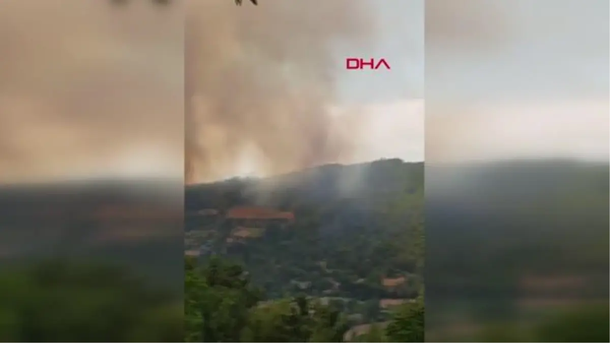 OSMANİYE\'DE ORMAN YANGINI