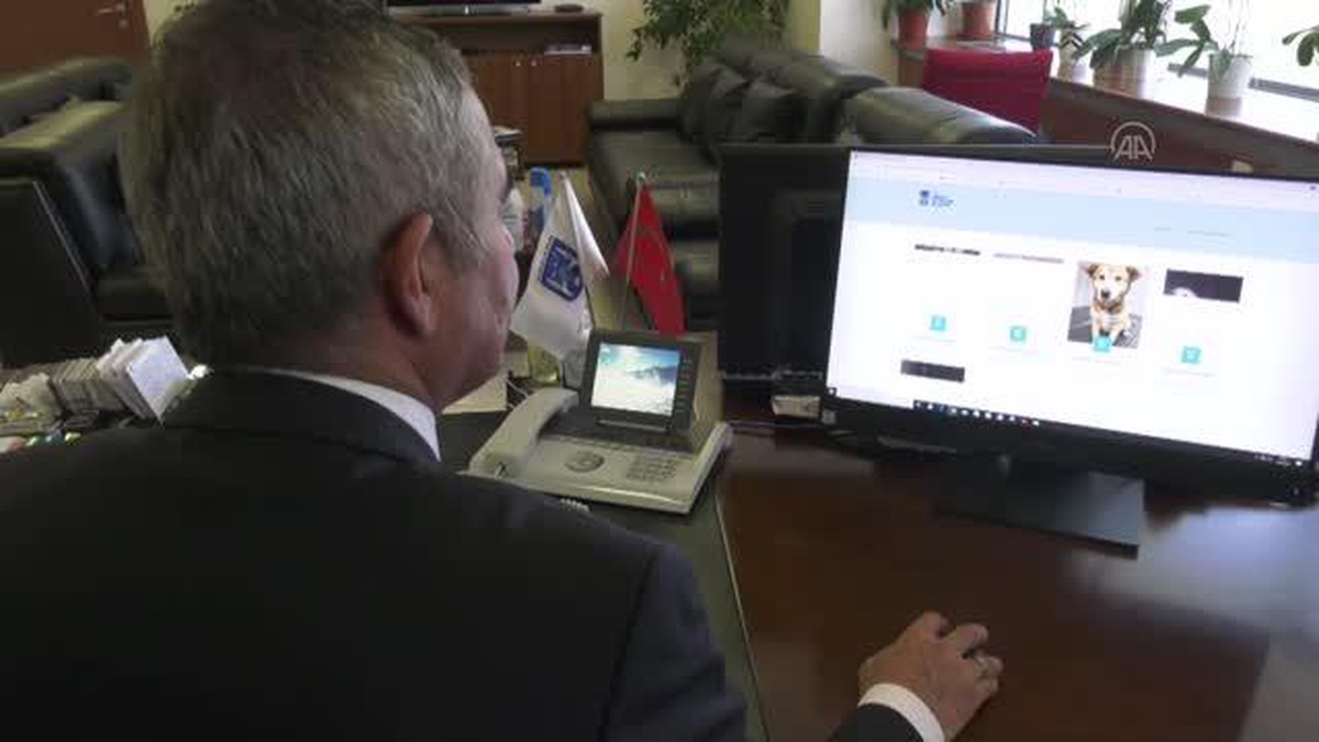 Ankara Büyükşehir Belediyesi yaralı sokak hayvanlarının ihbarı için "E-Pati" uygulamasını başlattı