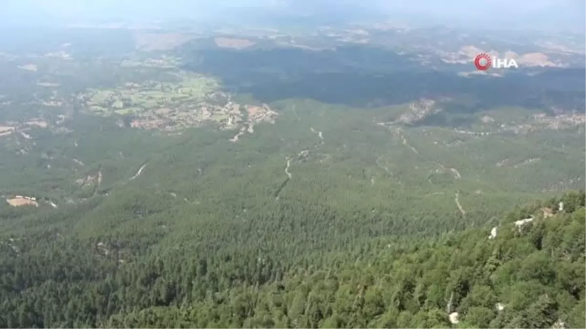 Binlerce kilometre uzaktan bu manzarayı görmek için geliyorlar