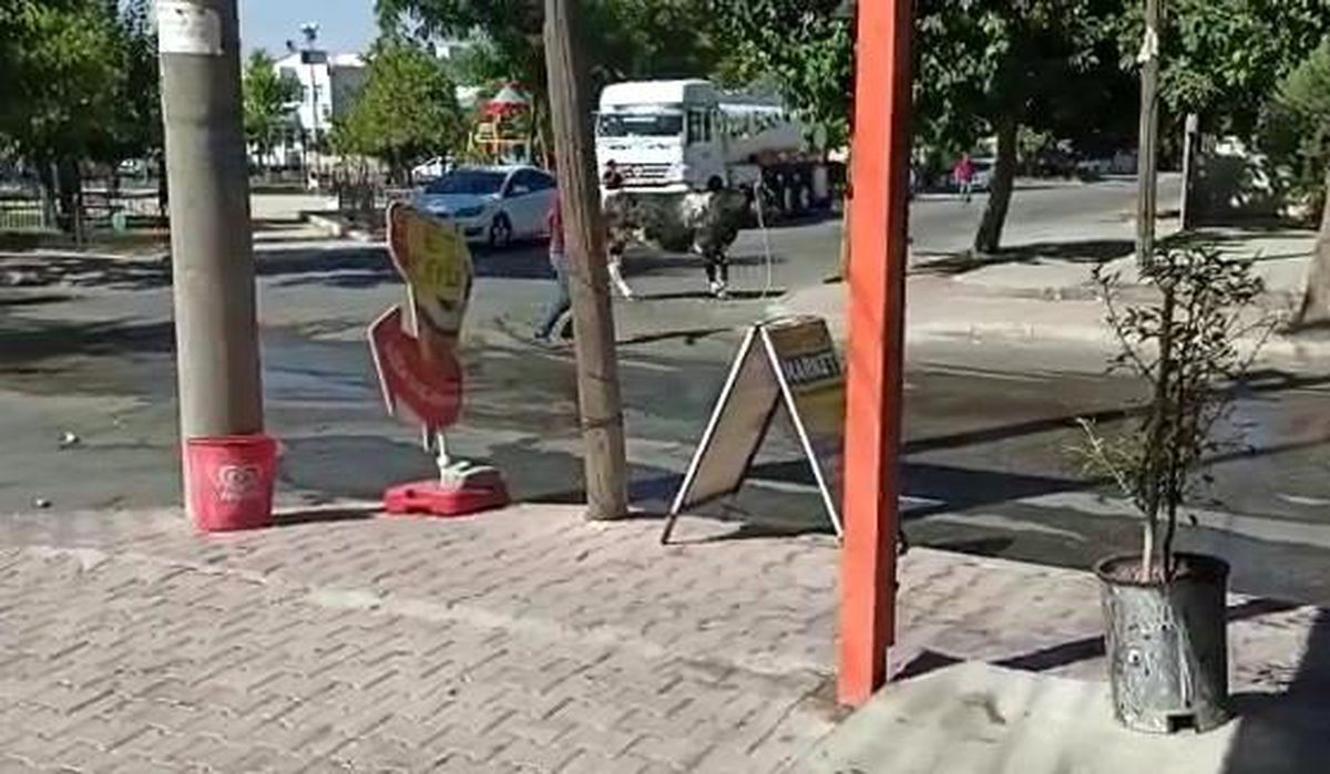 Kaçan dana zor anlar yaşattı