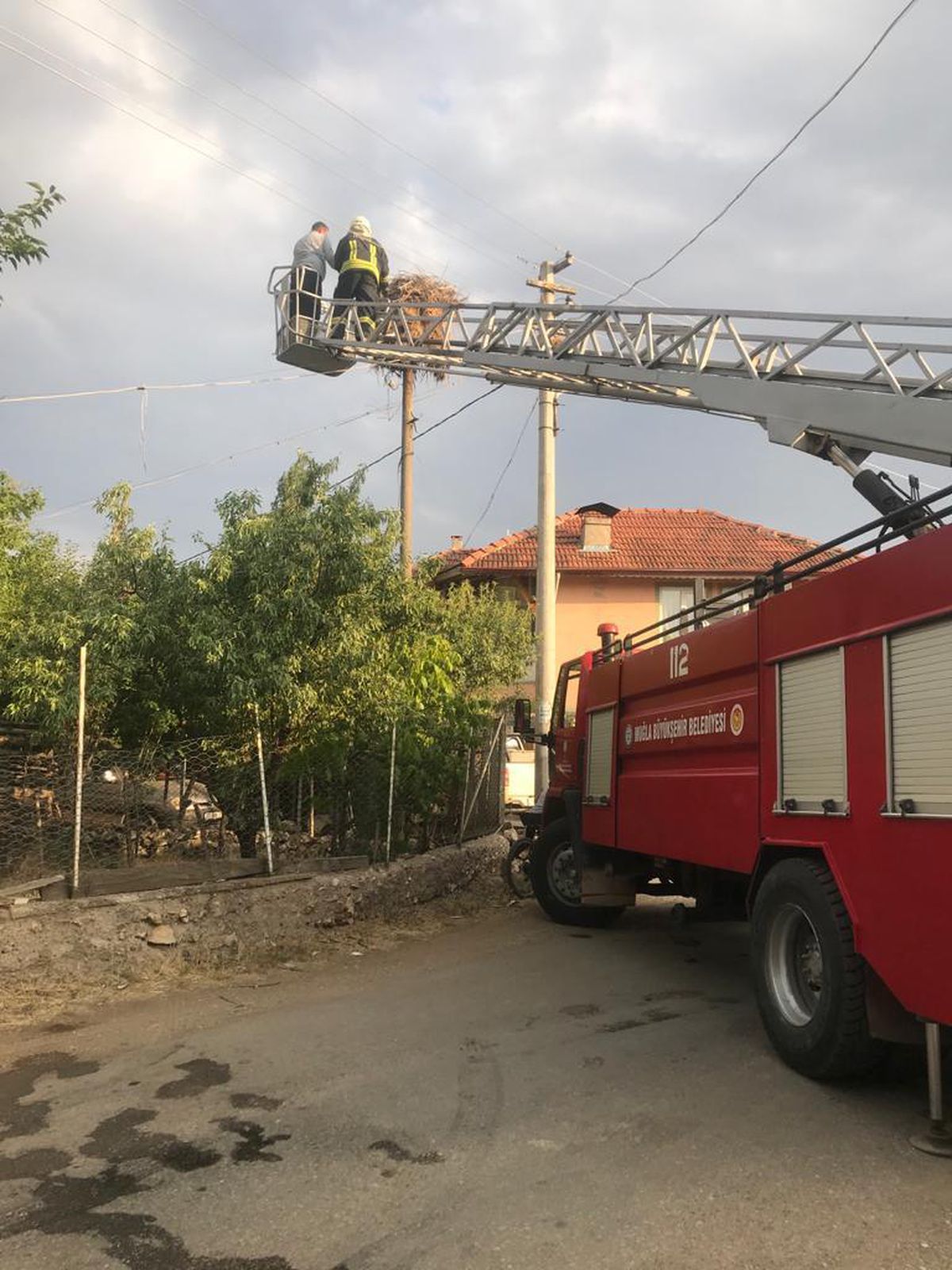Muğla\'da ayağına ip dolanan leyleği itfaiye kurtardı