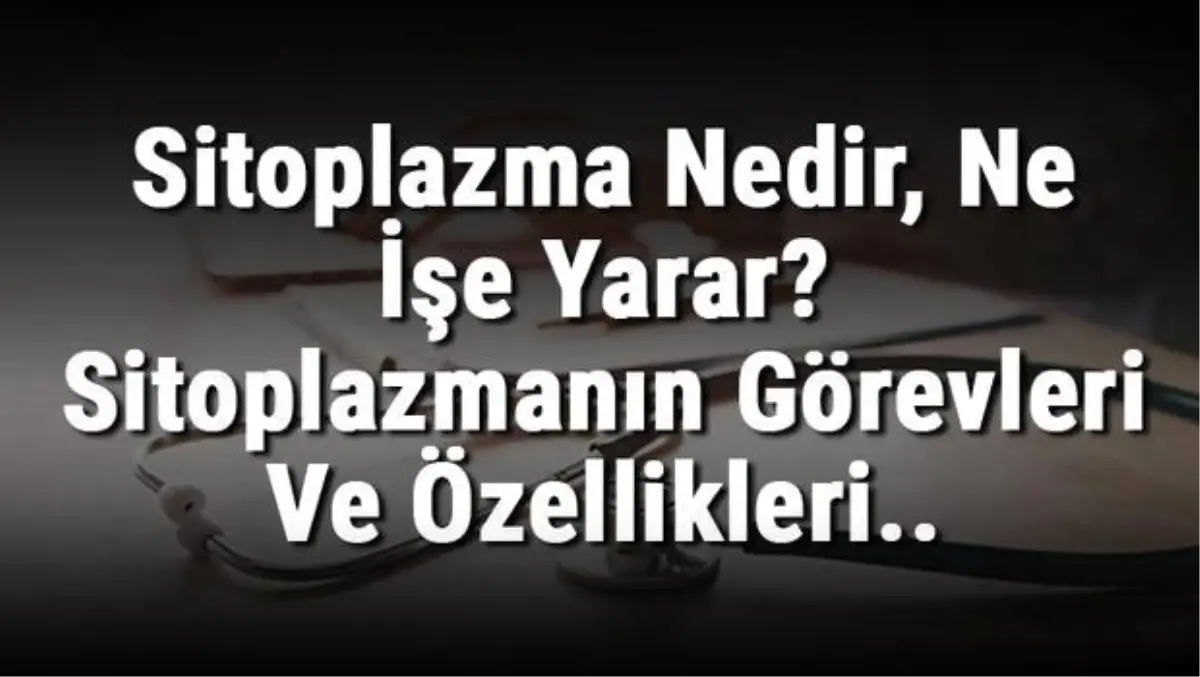 Sitoplazma Nedir, Ne İşe Yarar? Sitoplazmanın Görevleri ve Özellikleri..