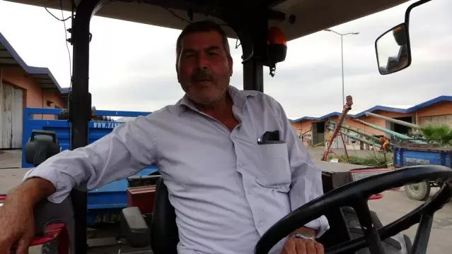 Çukurova'da ayçiçek tarlasında çifte bayram Çukurova'da ayçiçek tarlasında çifte bayram