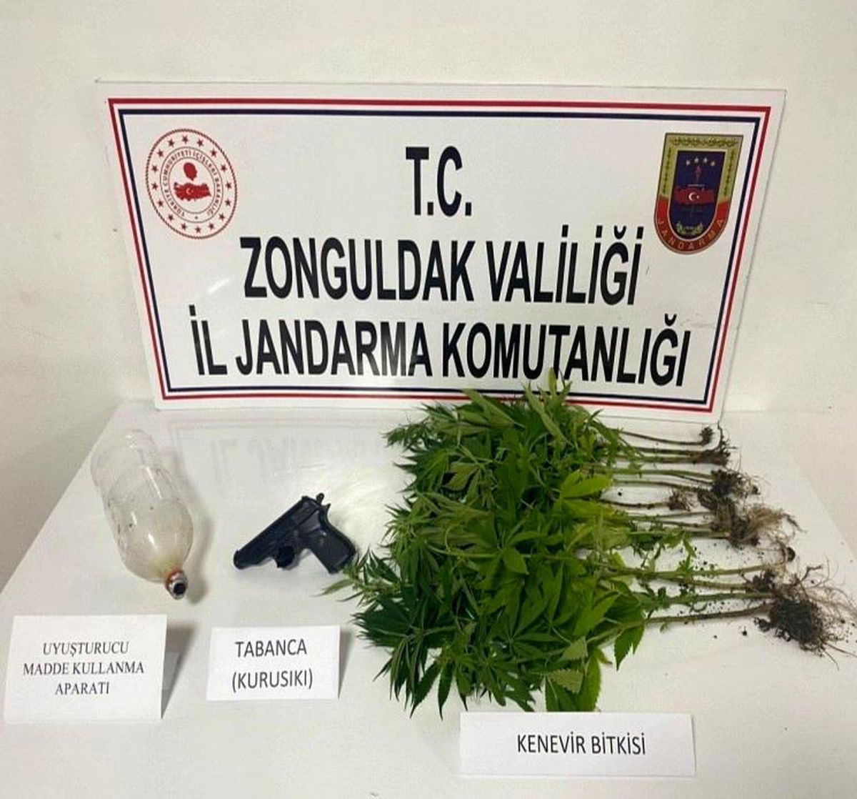 Jandarmadan uyuşturucu operasyonu: 15 kök kenevir bitkisi ele geçirildi