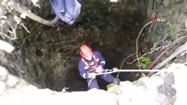 Kuyuya düşen kedi kurtarıldı Kuyuya düşen kedi kurtarıldı