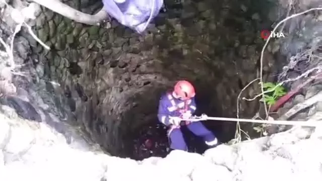 Kuyuya düşen kedi kurtarıldı Kuyuya düşen kedi kurtarıldı